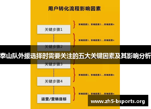 泰山队外援选择时需要关注的五大关键因素及其影响分析