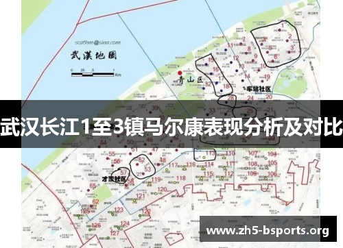 武汉长江1至3镇马尔康表现分析及对比