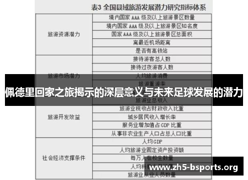 佩德里回家之旅揭示的深层意义与未来足球发展的潜力